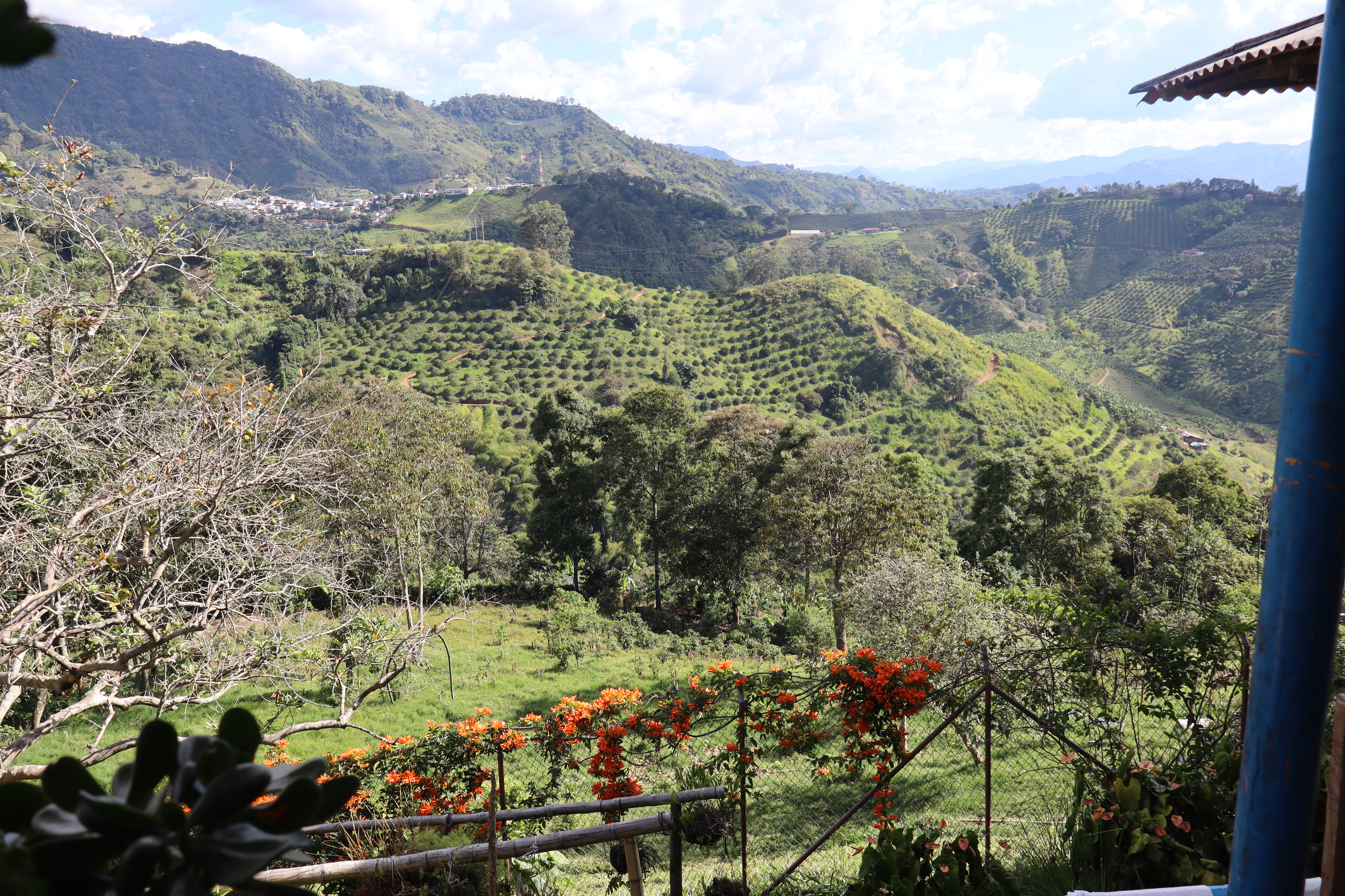 Kolumbien El Silencio Jamaica Espresso